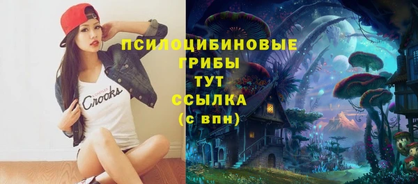 стаф Волосово