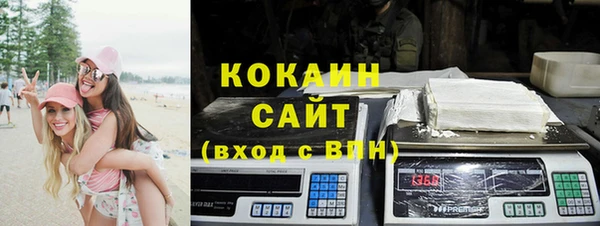 стаф Волосово