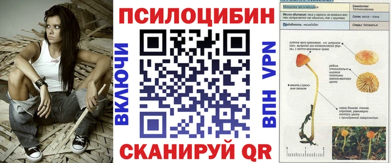 площадка клад  цена   Хасавюрт  Галлюциногенные грибы GOLDEN TEACHER 