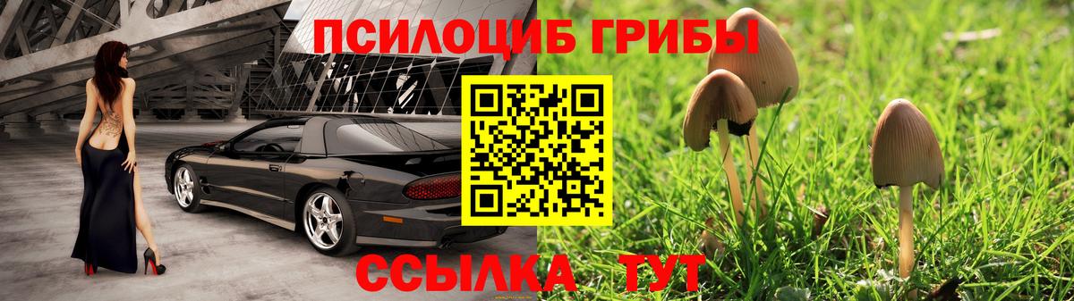 Псилоцибиновые грибы Psilocybine cubensis  Галлюциногенные грибы GOLDEN TEACHER  Хасавюрт  Вход с VPN 